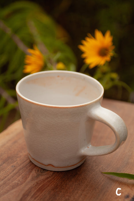 Mug C