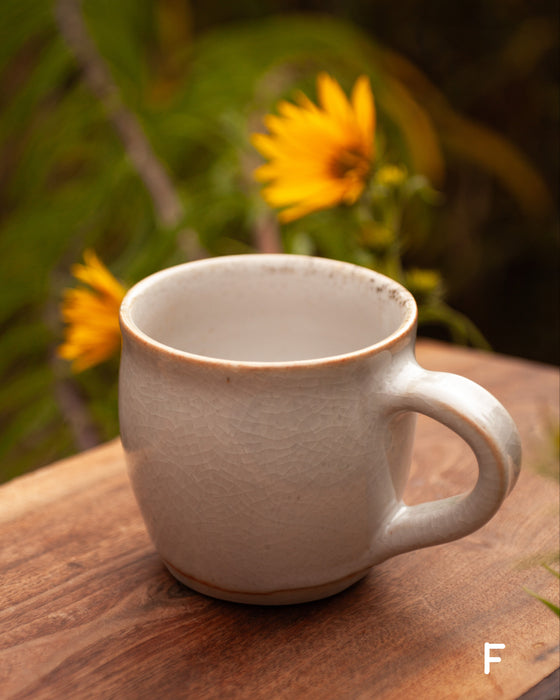 Mug F